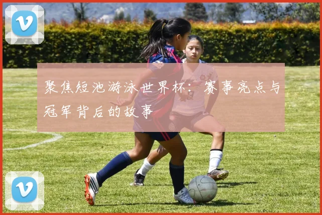 聚焦短池游泳世界杯：赛事亮点与冠军背后的故事