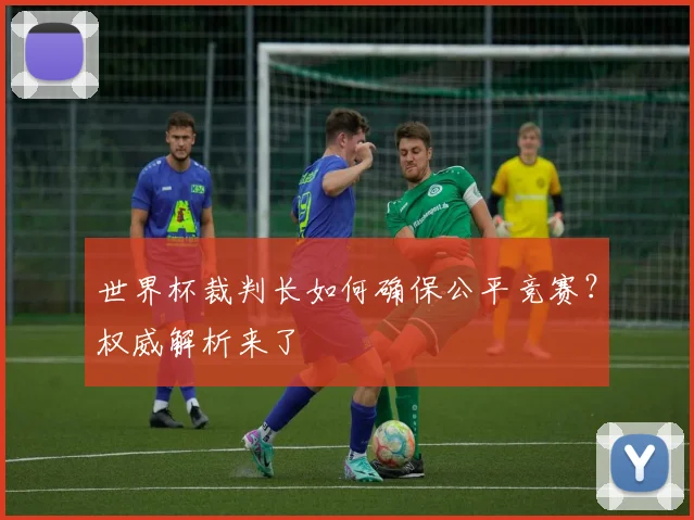 世界杯裁判长如何确保公平竞赛？权威解析来了