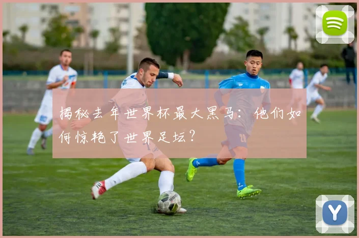 揭秘去年世界杯最大黑马：他们如何惊艳了世界足坛？